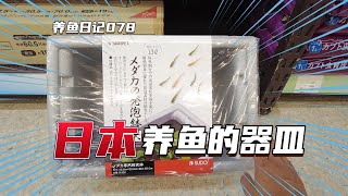 養魚日記078：日本養青鳉魚都用什麽樣的器具 魚撈好像比國內貴