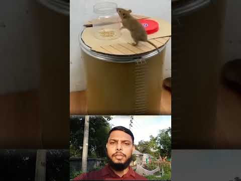 #ViralHack#LifeHack#DIY#SmartTricks#TrendingNow#MustWatch#ViralReels#ReelTips#ReelItFeel