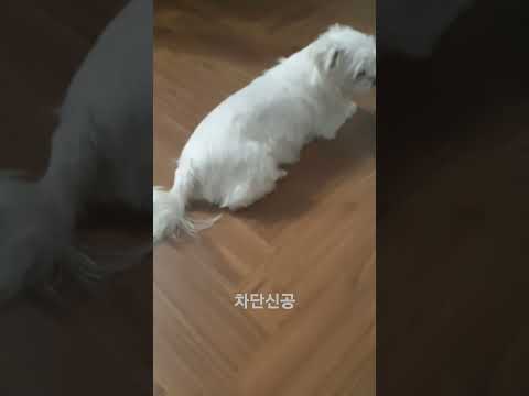 엄마 프로텍트 #shorts