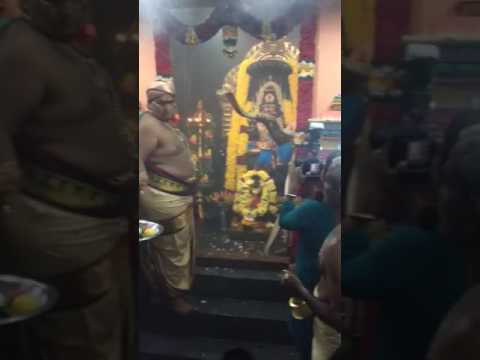 Real Cobra is Worshipped here in the Temple