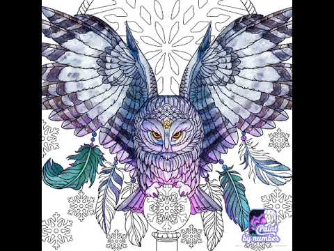 from the strongets owl!!!!