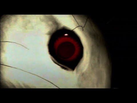 EXPERIMENT 11