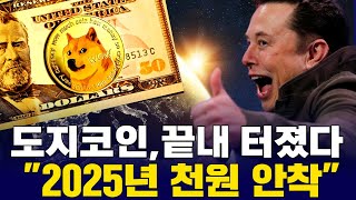 도지코인, 끝내 터졌다…"2025년 천원 안착?"