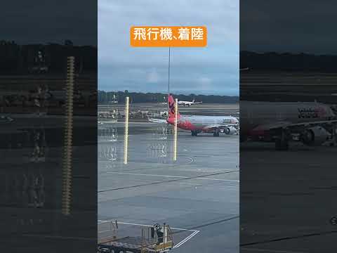 飛行機、着陸　これは、なんの機体？#飛行機
