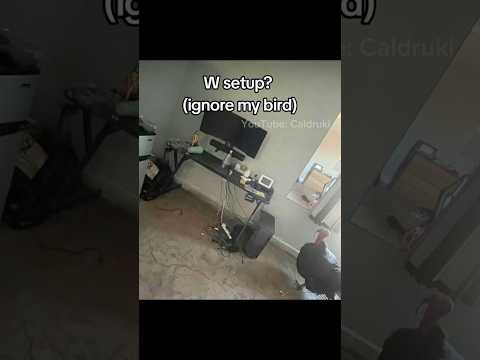 W setup? #brainrot #memes #slideshow #shorts
