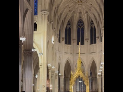 NYC travel #world #travel #nyc #nycvlog #manhattan #thingstodonyc