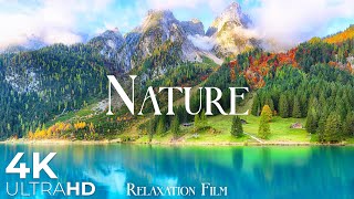 Nature 4K Ultra HD • Scenic Relaxation Film with Peaceful Music