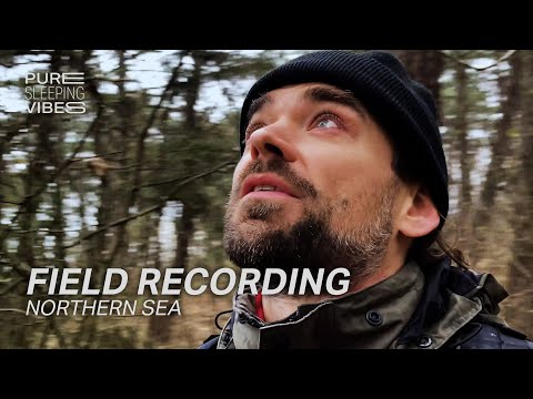 Behind the Scenes - Field Recording at the Northern Sea | Pure Sleeping Vibes