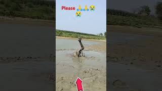 please support kijiye bhaiya 🙏🙏😭😭😱😱❤️...#shortreels #trendingreels #indianarmy #viralreels #reels