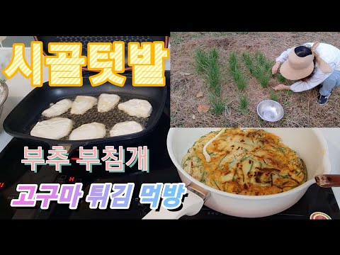 시골텃밭 부추 고구마  #시골일상 #귀촌 #시골텃밭 부추 #시골여자