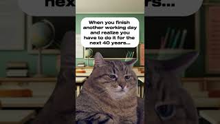 #teachermemes #teachersofinstagram #teacherlife