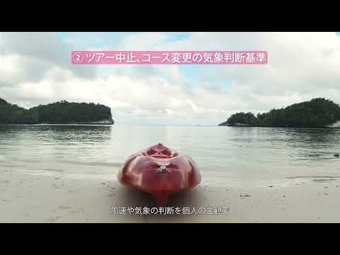 安全管理 行動計画