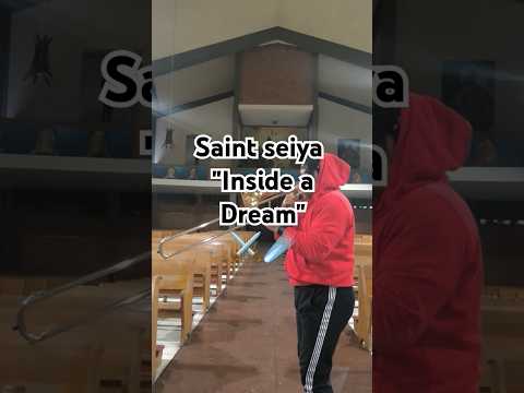 Saint Seiya "inside a Dream" #SomosBestiarii #SomosK&G 🇲🇹