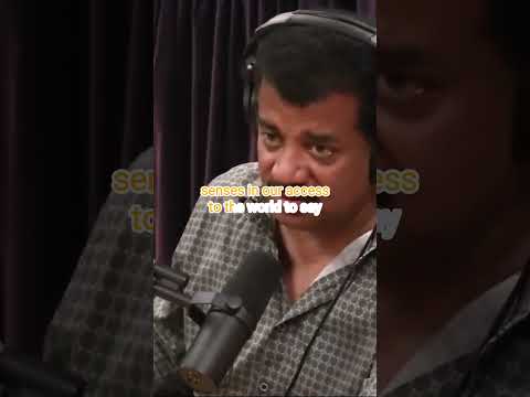 The Wonders of Renaissance | JRE Podcast