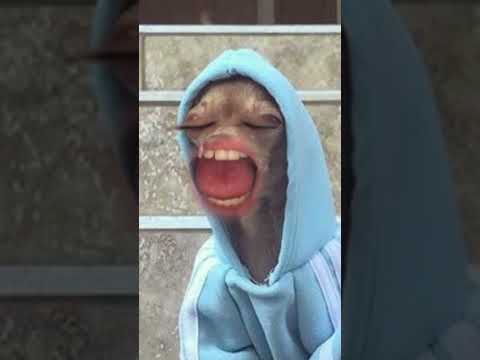 #funny #lol #shorts