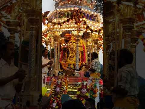 Penang Thaipusam 2018 Silver Chariot return journey theebarathanai