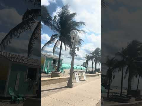 Hollywood beach! Margaritaville! Sunshine state!