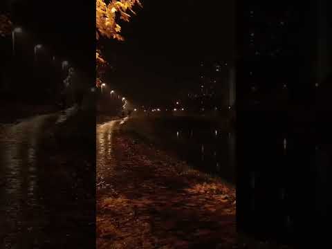 relax music, meditation music, bedtime music, lullaby music, calm music.