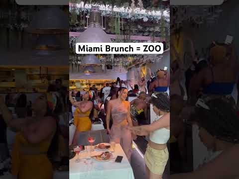 Brunch in Miami is always a ZOO (good time)