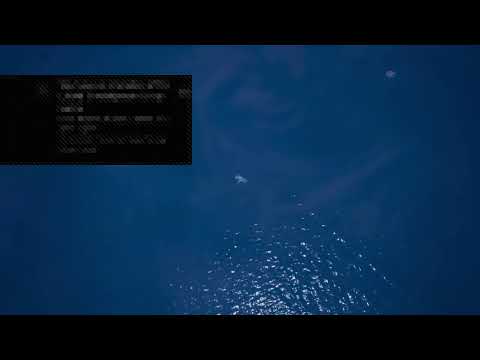 Fortinite live event