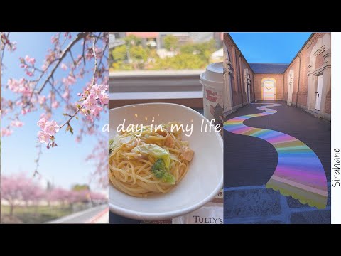 [VLOG] Cherry blossom viewing week, experiencing spring, the everyday and the extraordinary | Oka...