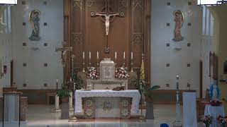 English Mass at 12:15 PM