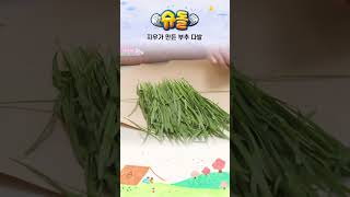 지우가 만든 부추 다발 #shorts