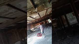 On location with DMC Media. Ww2 concentration camp #musicwithmeaning #indiemusic #marti