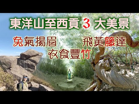 【行山分享】東洋山至西貢3大美景   一次去哂東洋山兔仔許願石 茅坪籐皇 北港竹林古道。，以多角度畫面，沉浸式欣賞三大美景。