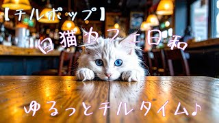 Music momo【チルポップ】白猫カフェ日和　ゆるっとチルタイム♪