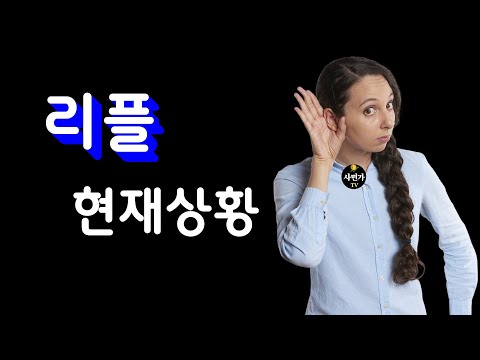 리플.. 대박 직전 실제 상황