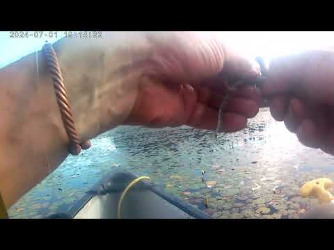 Canada Day bass fishing outside Algonquin park