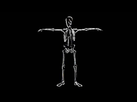 SKELETON DANCE
