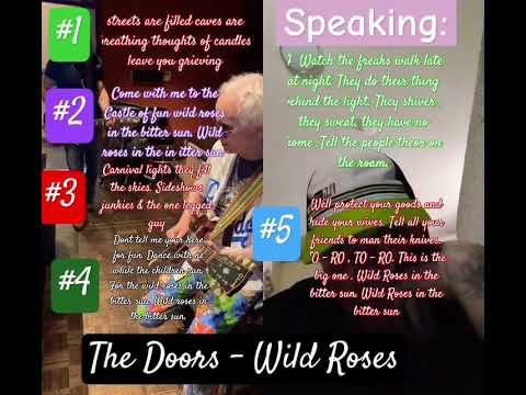 The Doors Jr - Wild Roses #jimmorrisonjrpoetry