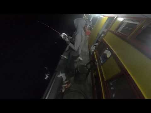 沙巴釣魚 夜水 船釣