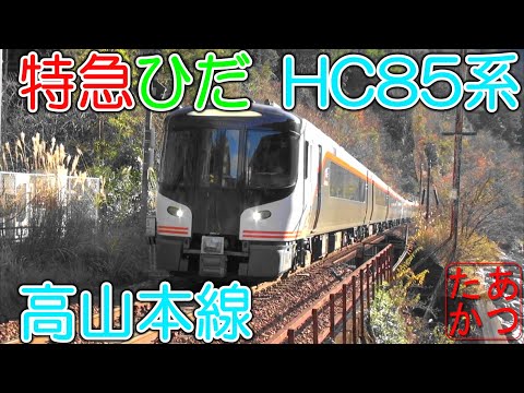 【特急ひだ HC85系 晩秋の高山本線】