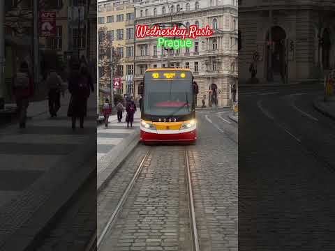 Prague Streets Wednesday | February 12, 2025 #czechrepublic #praguestreets