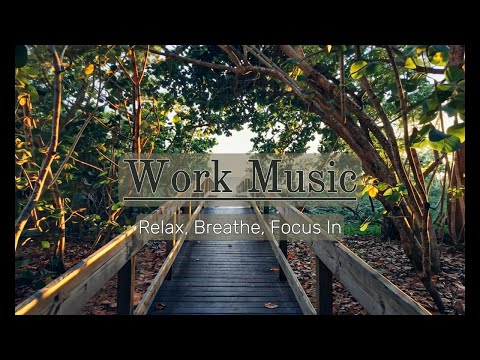 Work Music - Relax With Some Beach VR Visuals