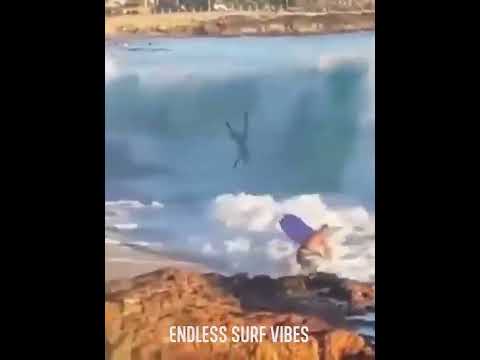 kook of the day dumb & smart surfers from other world #surf #surfing #surfers #shorts #california