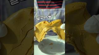틱톡 핫템 먹어봤습니다