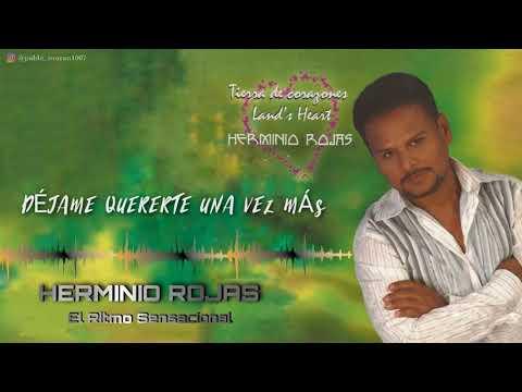 Déjame quererte una vez más (audio oficial) - Herminio Rojas