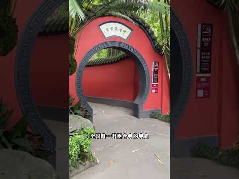 #旅行推薦官 #旅行大玩家 #旅遊攻略 #帶你看世界 #成都旅遊