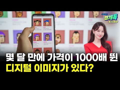몇 달 만에 가격이 1000배 뛴 디지털 이미지가 있다? | 최민주의 '코인 포커스'