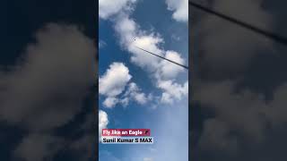 Kits fly like an eagle