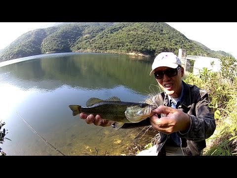 Tai Tam Bass Fishing 2017.01.07