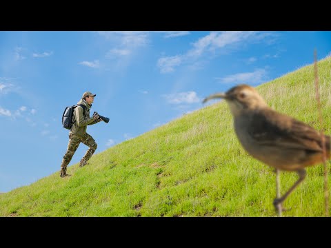 Hiking with the Lightest 500mm Prime I’ve Ever Used