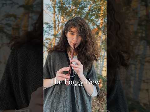 The Foggy Dew 🌫️🇮🇪🪈 one of my favorite war ballads! 🎶 #irishmusic #celtic #folk #tinwhistle