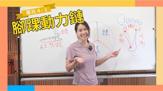 課程精華｜4 - 1 腳踝動力鏈介紹｜啾c物理治療師