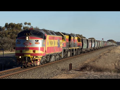 7994V Horsham - Dooen 05/07/2024