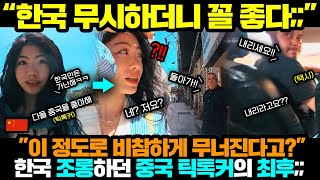 중국반응ㅣ한국 무시하던 틱톡커 해외 도착 1시간만에 무너진;;